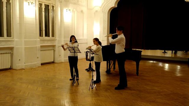 Flute trio: Danse des petits cygnes (Little Swans) from Swan Lake - Tchaikovsky смотреть онлайн