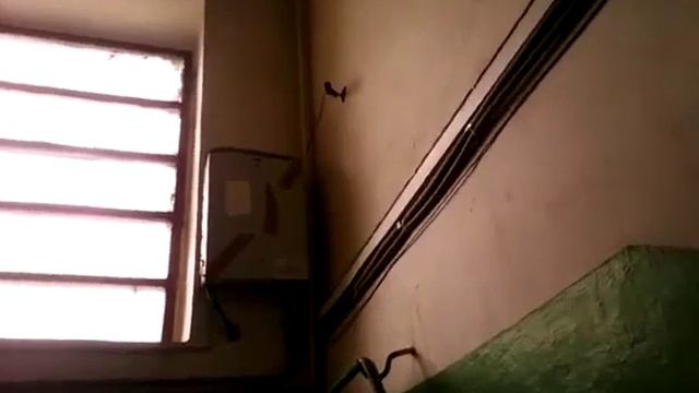 Рославль 12 Микраен ул Красноармейская 13 видеонаблюдение в подьезде.mp4 смотреть онлайн