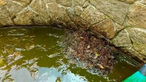 Слив воды из пруда на зиму.50кубов