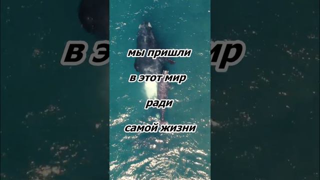 Правила хорошей жизни 040 смотреть онлайн