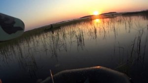 Охота на утку ,охота на лысуху с лодки.Hunting for a duck