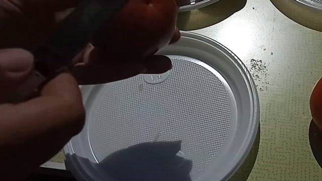 Вкусные томаты. Лучшие сорта томатов 2019 года. Мой опыт. смотреть онлайн