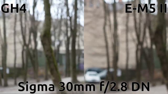 Autofocus comparison, GH4 vs E-M5 II смотреть онлайн