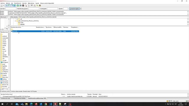 PHP | Upload binary files to a directory смотреть онлайн