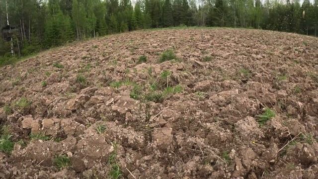 СЛОМАЛСЯ ТРАКТОР ДТ-75 ЗАСЕЯЛИ ПОЛЕ ОВСОМ смотреть онлайн