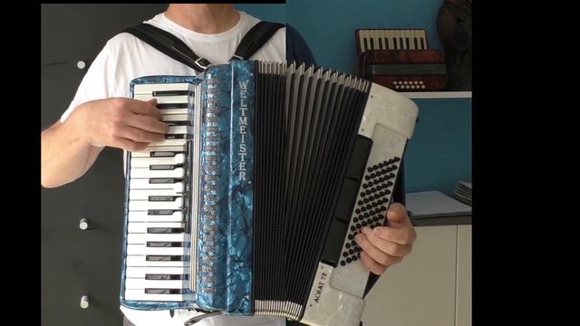 "Blau und Weiß" played on two Weltmeister Achat 72 Accordions смотреть онлайн