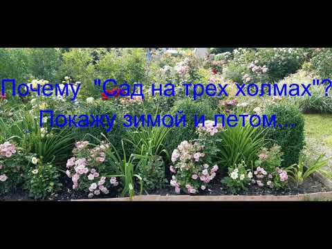 Почему "Сад на трех холмах"? смотреть онлайн