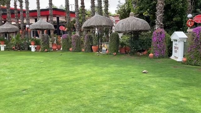 ПОЛНЫЙ ОБЗОР территории отеля CLUB HOTEL SERA в Анталии, отдых в ТУРЦИИ 2021 смотреть онлайн