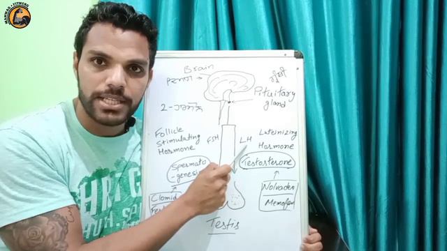 How To Wash Steroids? | ਕਿਵੇਂ ਬਣਦਾ Testosterone? | What is PCT? | Masturbation & Muscle Gain. Part смотреть онлайн