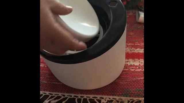 Подарок котятам