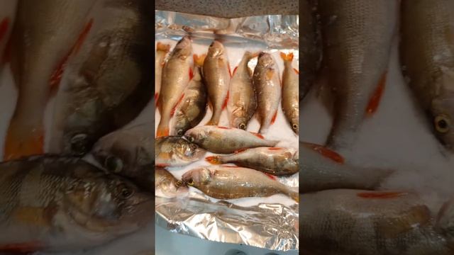 Как приготовить окуня в соли! #cooking #like #tasty #вкусно #окунь #готовка #готовка смотреть онлайн