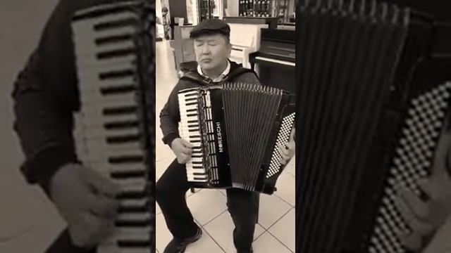 Какая красивая песня с акардионам смотреть онлайн