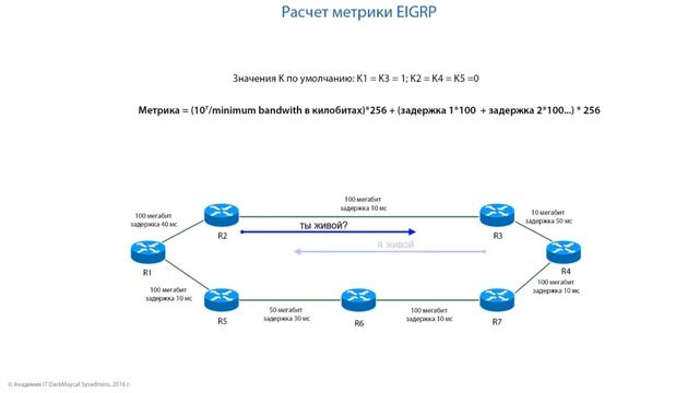 Обучающий курс Cisco 7 смотреть онлайн