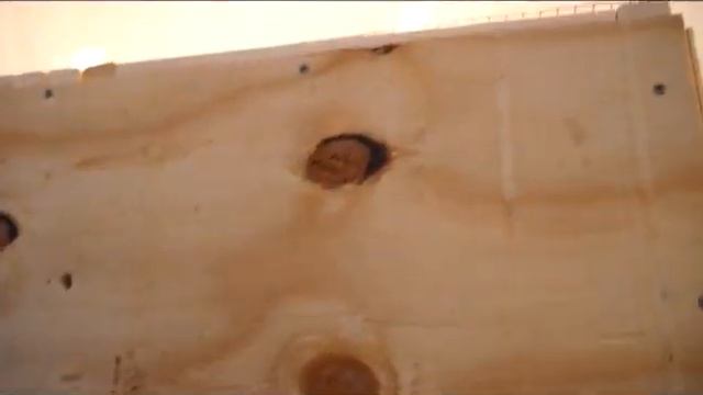 Quail Chronicles Episode 8: New Quail Brooder смотреть онлайн