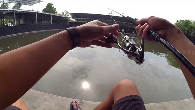 BIKIN NGILU MANCING GALATAMA MASTER BAWAL MALAH KAYAK GINI