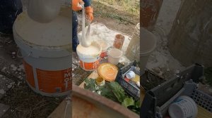 известковая цветная побелка стен , что бы не пачкалась часть 2