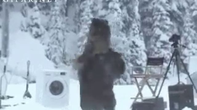 Так сибирские медведи стирают свои шубы съмка скрытой камерой смотреть онлайн