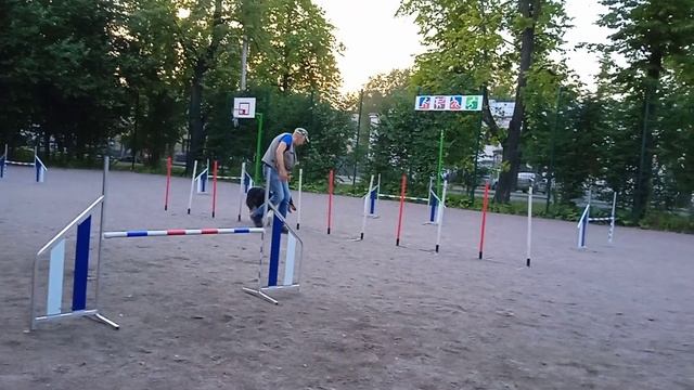 Тренировка 18 авг-4 смотреть онлайн