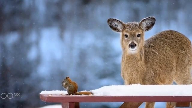 на стихи Ханаевой поет Юрий Калинин смотреть онлайн