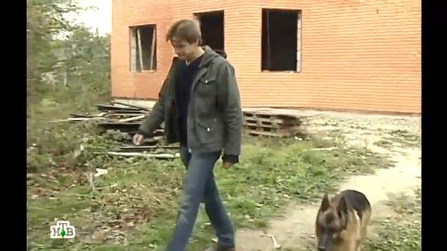 Возвращение Мухтара 2. Химчистка