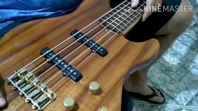 Review do contrabaixo Fender jazz bass Víctor Bailey made in USA. смотреть онлайн
