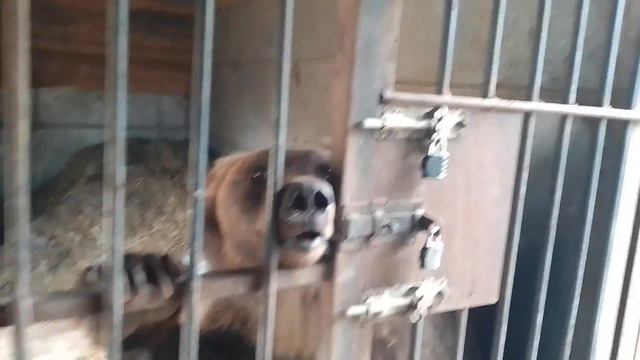 10.08.22. дневной день. Ярочка и #машахулиганяша смотреть онлайн