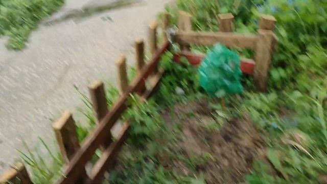 ОГОРОД под БАЛКОНОМ: год второй, экспериментальный. Высадила детерминантные томаты смотреть онлайн