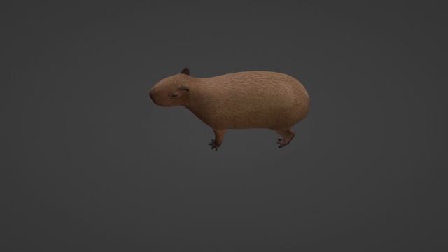 capybara смотреть онлайн