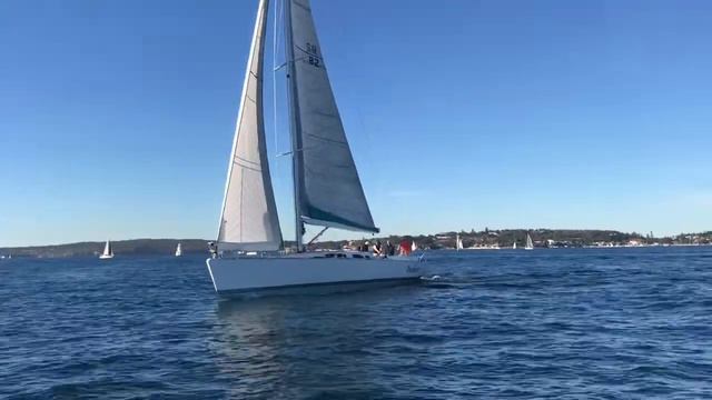 JUTSON 50 BRAVEHEART