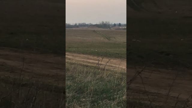 Первые метры на Хонда ср250 смотреть онлайн