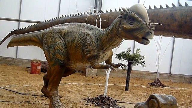 Живые динозавры 01.02.2018 смотреть онлайн