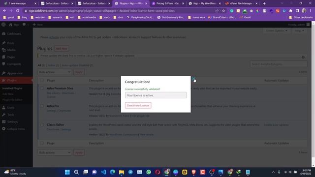 Astra Pro addons and premium sites overview and giveaway. смотреть онлайн