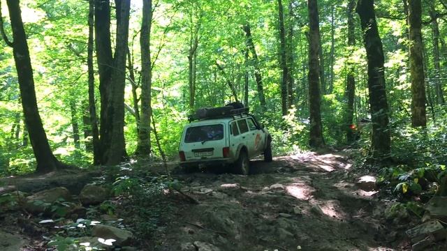 Тест драйв длинных нив в реальных условиях. Длинные нивы едут, но не все. смотреть онлайн