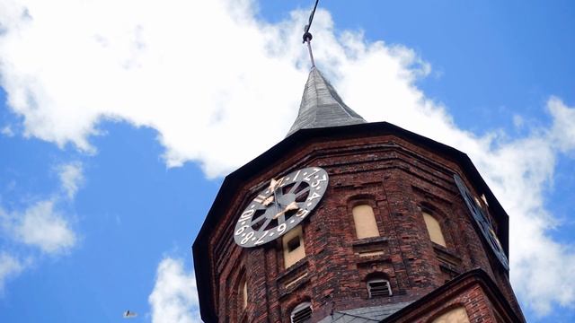 Вокруг острова Канта | Калининград 2022год смотреть онлайн