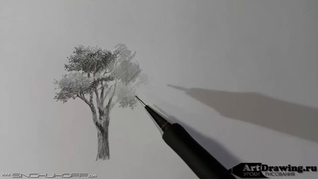 Рисуем дерево карандашом смотреть онлайн