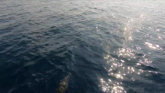Maldives Kuredu Resort & Spa März 2019 #2🐠🐟🐋🐢 смотреть онлайн
