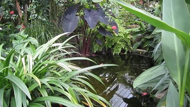 Kew Gardens Richmond Upon Thames London attraction смотреть онлайн