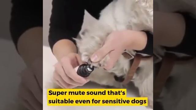 Starcy Electric Pet Nail Trimmer смотреть онлайн