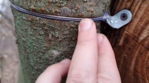 Не вешайте скворечник на проволоку, пока не посмотрите это видео!