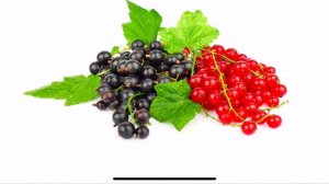 Карточки Домана Часть 9 Ягоды!