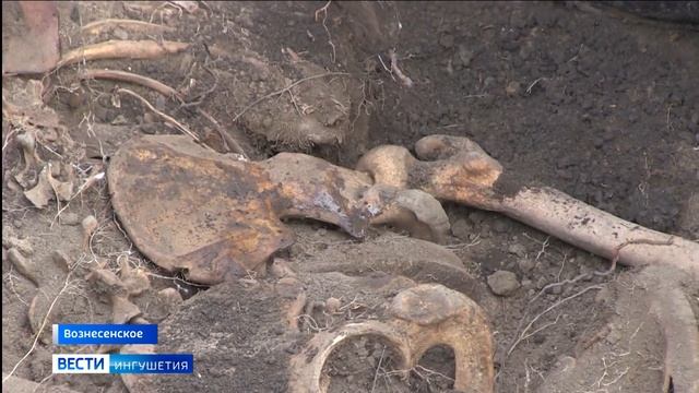 В Ингушетии обнаружили останки двух советских солдат смотреть онлайн