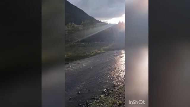 здравые среды Алтайские - философия женского здоровья в странное время смотреть онлайн