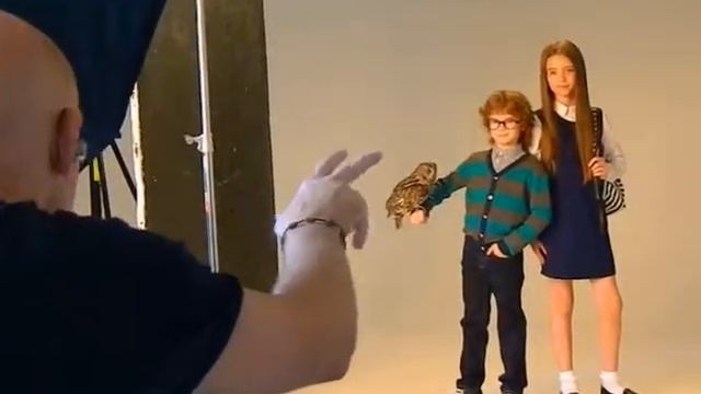 Фотосессия с животными, сова смотреть онлайн