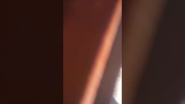 грабли ворошилки АЗАС смотреть онлайн