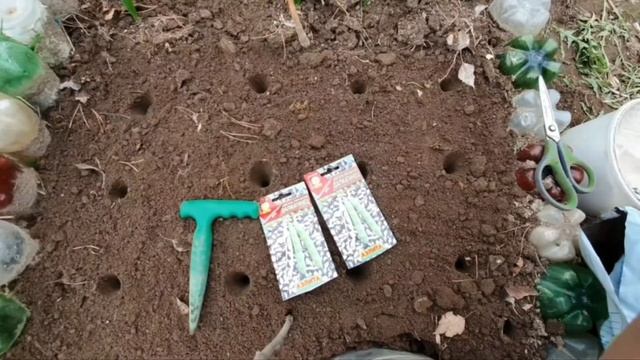 НЕ поликарбонатная теплица!?Чем рыхлю чеснок?!?Посевы.?Мои красавцы!??? смотреть онлайн