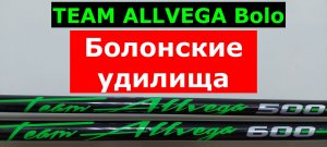 TEAM ALLVEGA Bolo болонское удилище. ОБЗОР болонских удилищ Альвега ТИМ АЛЬВЕГА боло