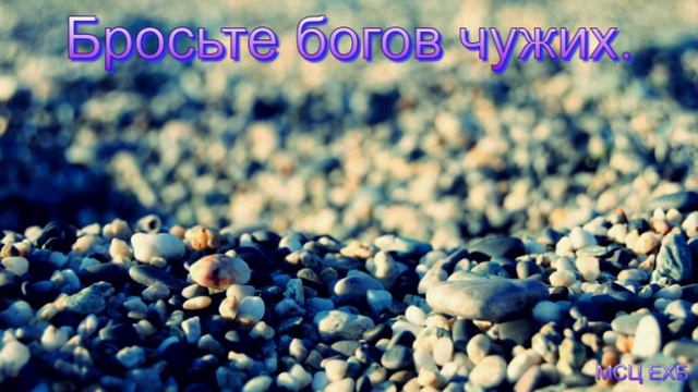 "Бросьте богов чужих". Я. Я. Янц. Беседа. МСЦ ЕХБ. смотреть онлайн