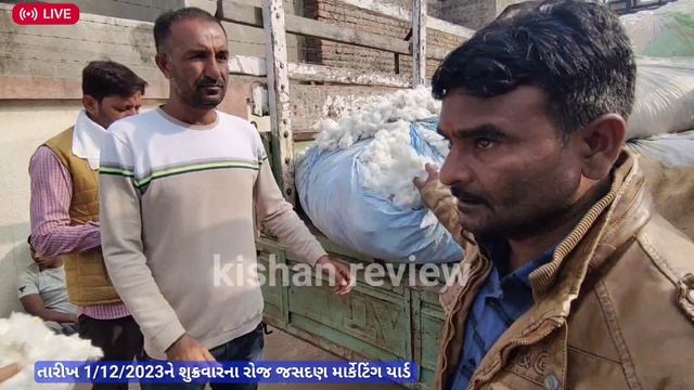 ? live cotton trading in jasdan APMC, kapas Na bhav,December 1, 2023 смотреть онлайн