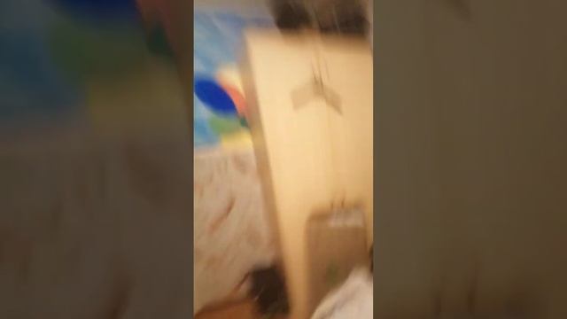 Obey Lolman teh kitteh cat, DeStRoY mBrIgLia05! смотреть онлайн