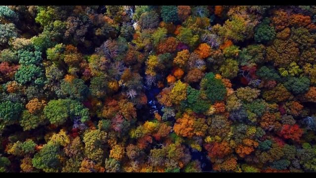 Illusions  Calm Emotional Piano